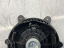 IMG_7404.jpeg
