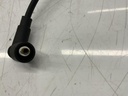 IMG_7415.jpeg