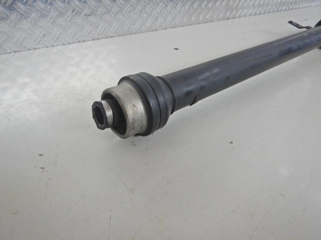 DSCN4636.JPG