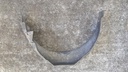 PXL_20231128_134154183.jpg