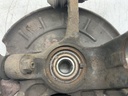 IMG_7653.jpeg