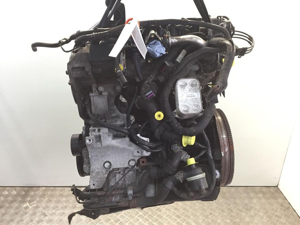 IMG_9702.JPG