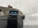 IMG_7983.jpeg