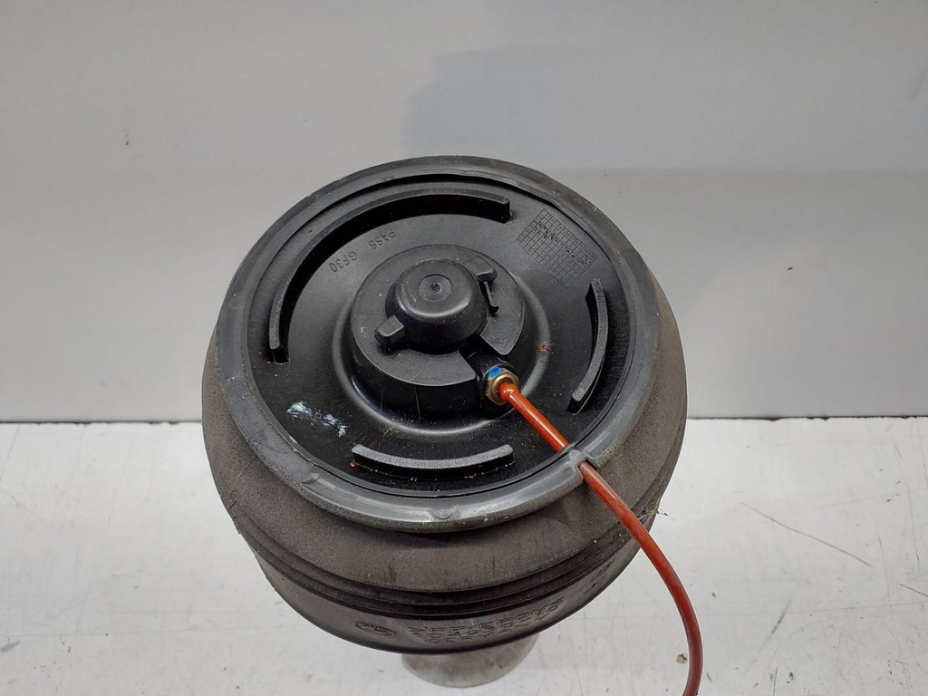 17030818011347421902306887642767.jpg