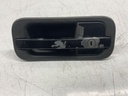 IMG_8737.jpeg