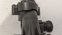 PXL_20240104_115741870.jpg
