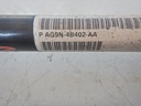 DSCN5251.JPG