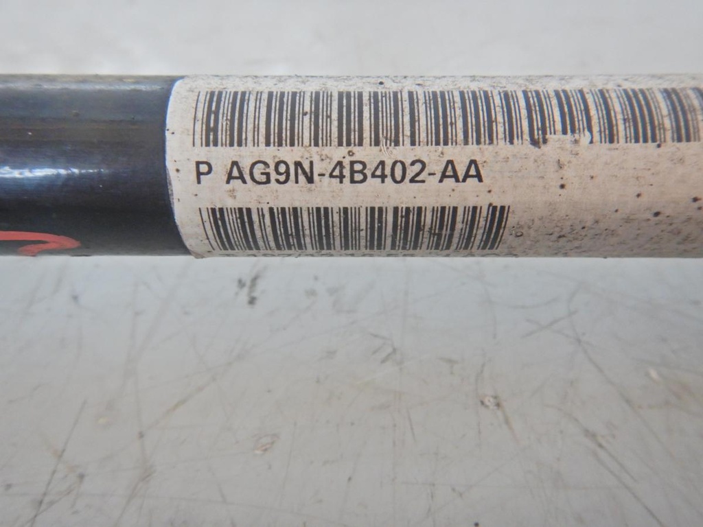 DSCN5251.JPG
