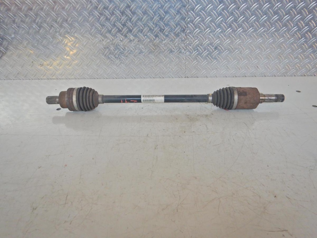 DSCN5250.JPG