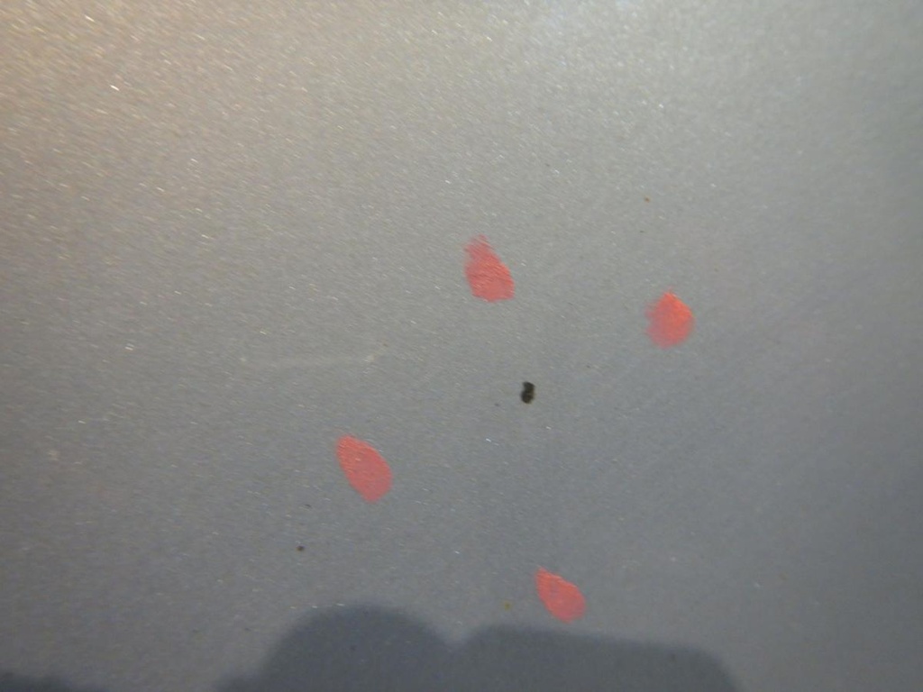 DSCN5454.JPG