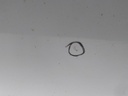 17060202500088901778309531072692.jpg