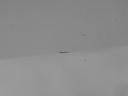 17060206281634174109876011343994.jpg