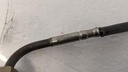 PXL_20240126_093124267.jpg