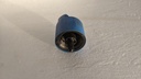 PXL_20240130_081220460.jpg