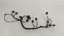 PXL_20240201_121307033.jpg