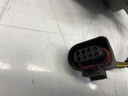 IMG_8812.jpeg