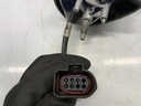 IMG_8817.jpeg