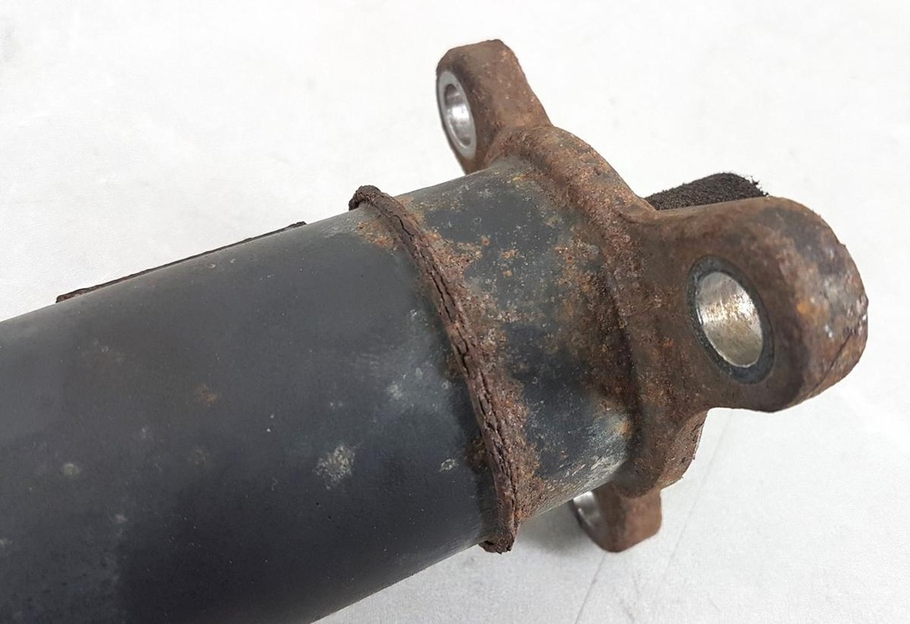 20240207_153025.jpg