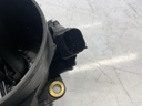 IMG_9183.jpeg