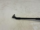 IMG_9221.jpeg