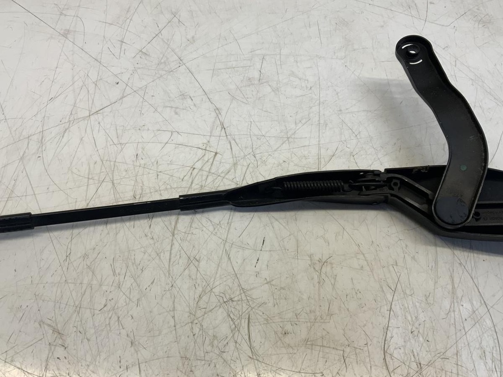 IMG_9223.jpeg