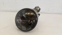 PXL_20240209_121031267.jpg