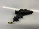 IMG_9552.jpeg