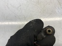 IMG_9568.jpeg