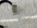 IMG_9627.jpeg