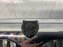 IMG_9643.jpeg