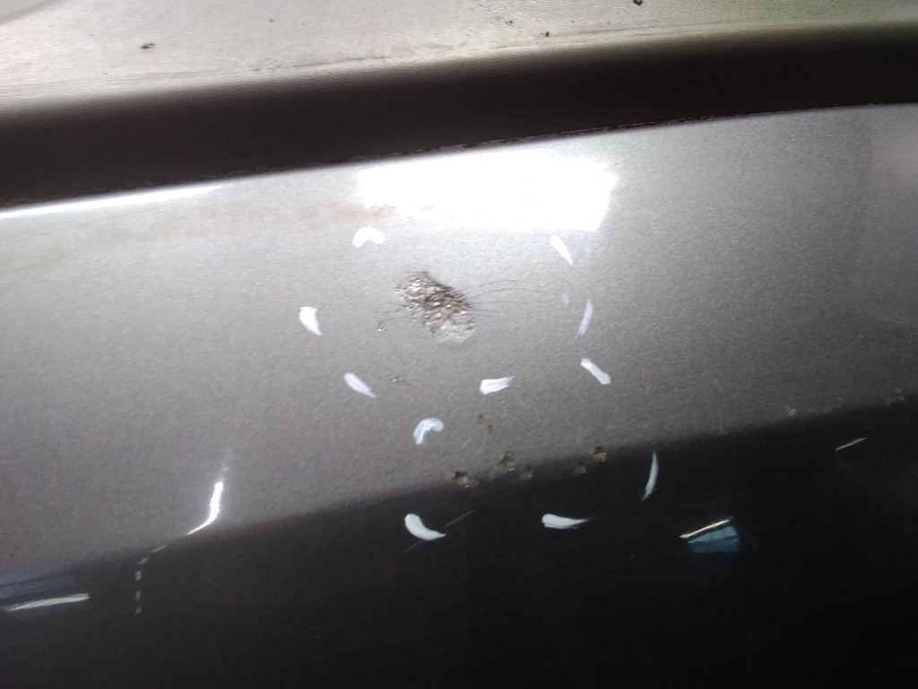 17091919677491211380462791519176.jpg