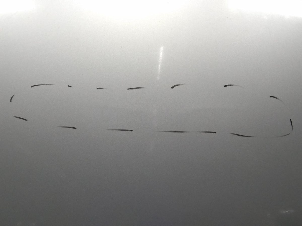 17096283901999127295635503166990.jpg