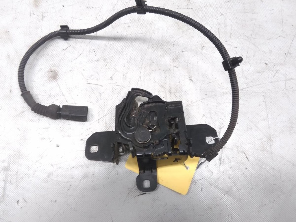17097205982962420605769988987013.jpg