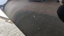 PXL_20240326_130409326.jpg