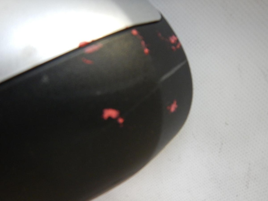 DSCN6808.JPG