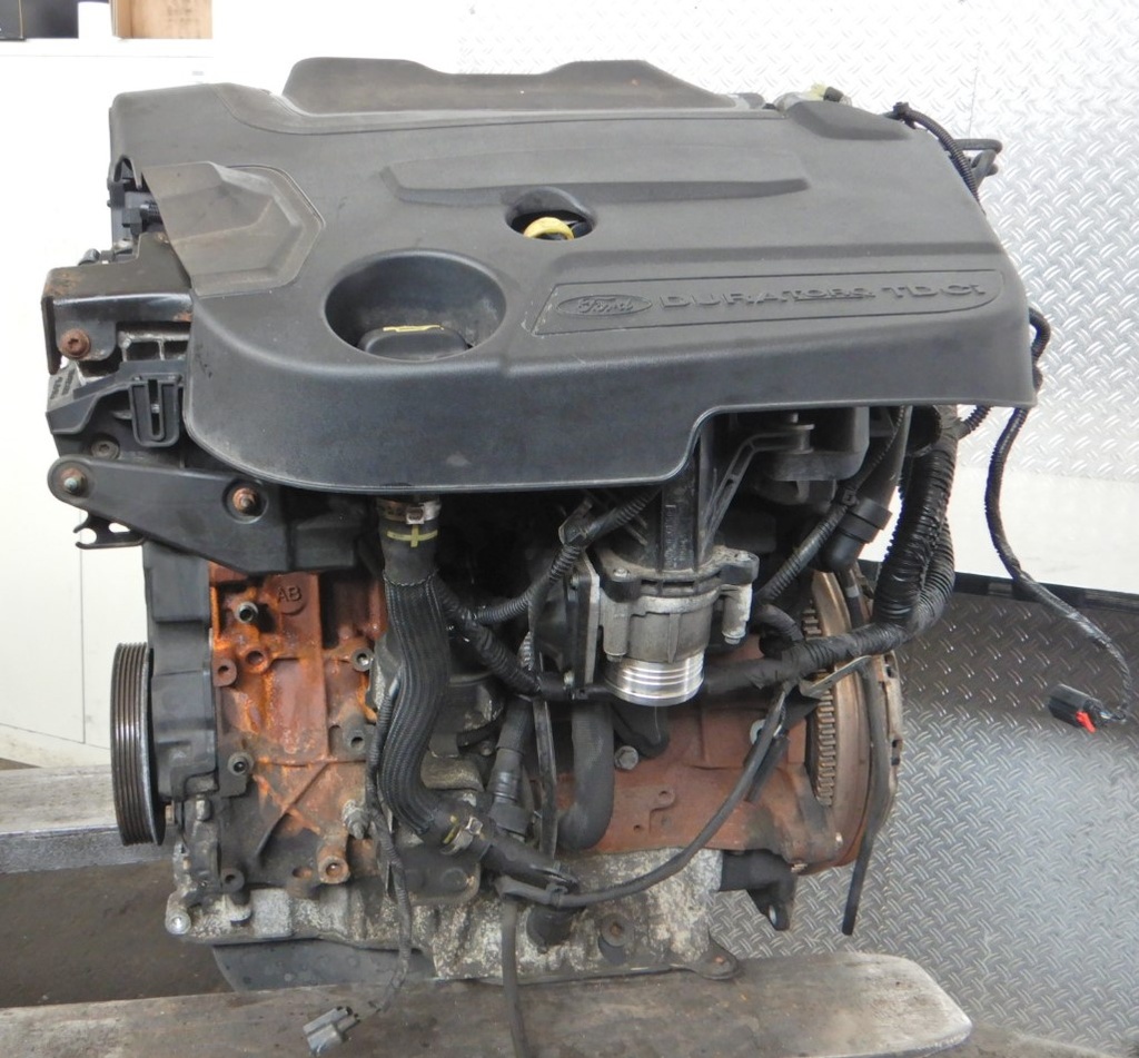 DSCN6179.JPG