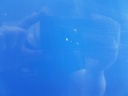 20240409_112708.jpg