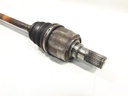 20240411_152204.jpg