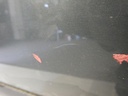 DSCN7092.JPG