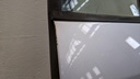 PXL_20240419_094817136.jpg