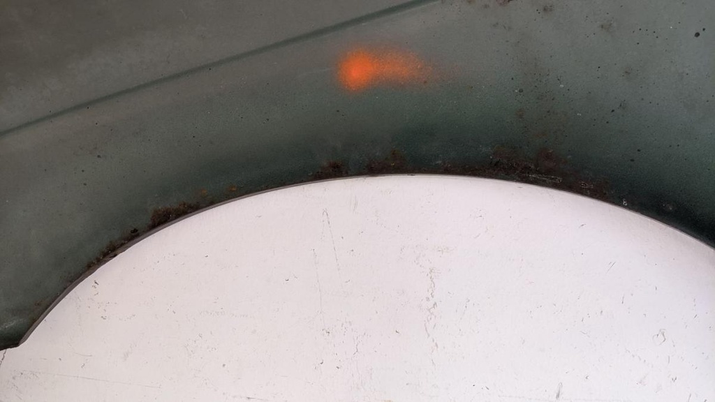 PXL_20240419_100842686.jpg