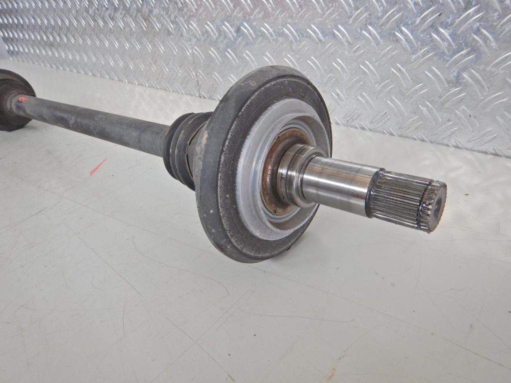 DSCN6437.JPG