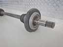 DSCN6437.JPG