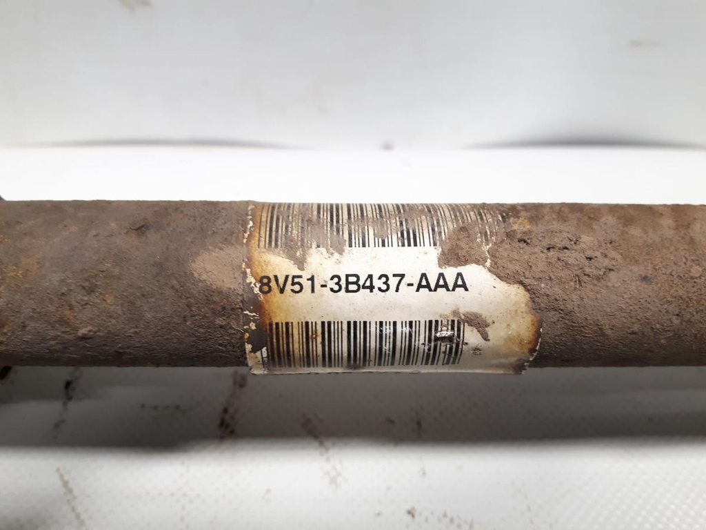 20240507_132301.jpg