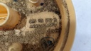 PXL_20240510_122932745.jpg