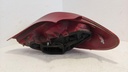 PXL_20240510_124433365.jpg
