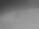 1715599125456324927778286978066.jpg