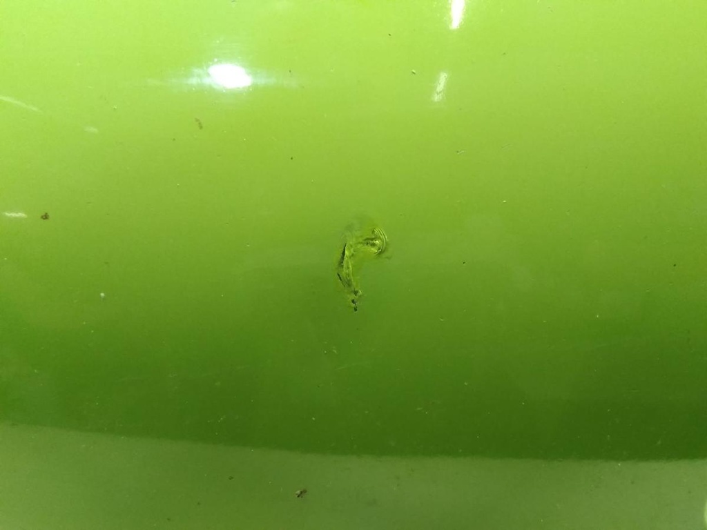 17158490834787526812696236911971.jpg