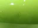 17158490834787526812696236911971.jpg