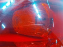 20240523_104456.jpg